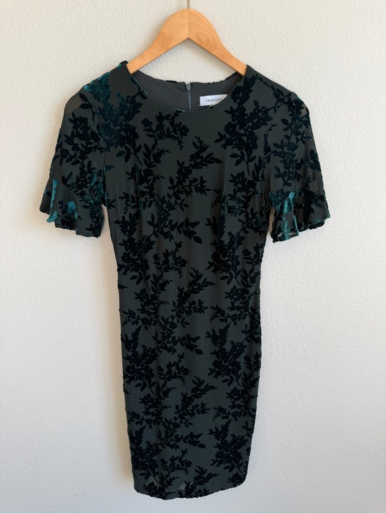 Calvin Klein Dresses & Skirts - Calvin Klein Dark Green Velvet Burnout Floral Midi Dress